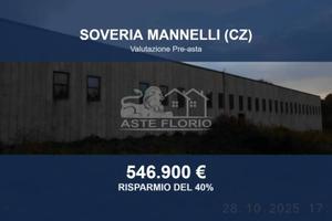Immobile in asta di 5721 m² a Soveria Mannelli