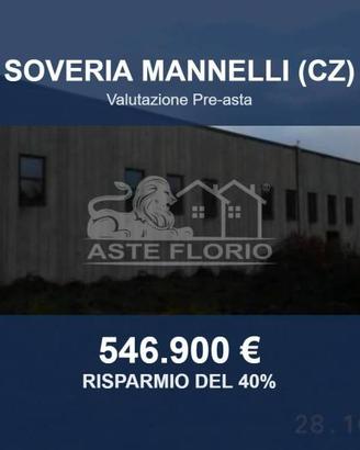 Immobile in asta di 5721 m² a Soveria Mannelli