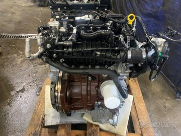 MOTORE - SFJA Ford Fiesta 1000 TB