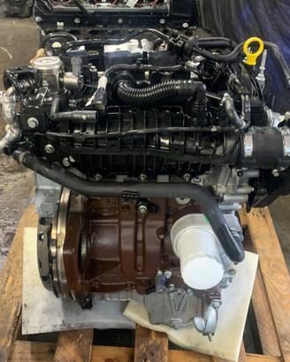 MOTORE - SFJA Ford Fiesta 1000 TB