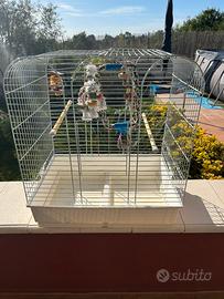 Gabbia per pappagalli 70 L.-50 p•80H