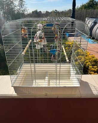 Gabbia per pappagalli 70 L.-50 p•80H