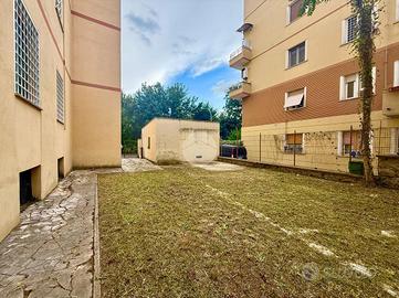 TER. AGRICOLO A ROMA