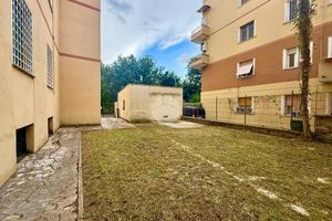 TER. AGRICOLO A ROMA