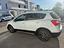 Immagine 14