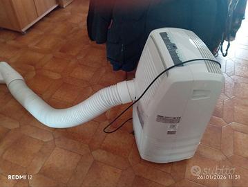 condizionatore pinguino de longhi