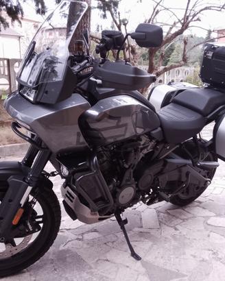 Harley Davidson Pan America 1250 S