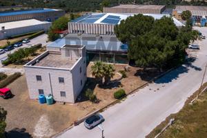 Capannone Industriale - Bitonto