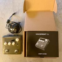 L.R.Baggs Voiceprint DI