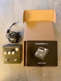 L.R.Baggs Voiceprint DI