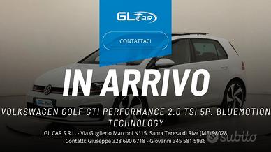Volkswagen Golf GTI Performance 2.0 TSI 5p. BlueMo