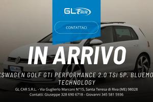 Volkswagen Golf GTI Performance 2.0 TSI 5p. BlueMo
