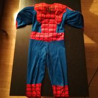 Vestito di carnevale uomo ragno