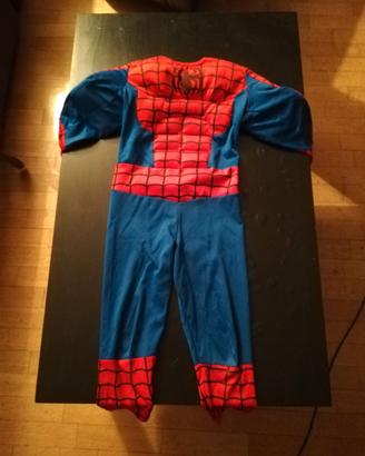 Vestito di carnevale uomo ragno