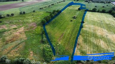 Terreno agricolo