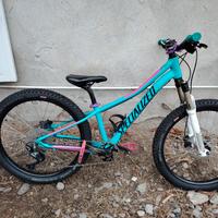SPECIALIZED 24