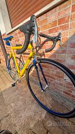 Bici da corsa colnago