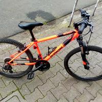 Mountain bike tg24