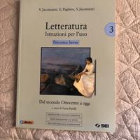 Letteratura istituzioni per l’uso percorso breve 3