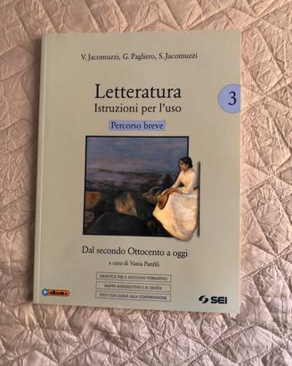 Letteratura istituzioni per l’uso percorso breve 3