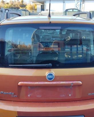 Portellone nudo FIAT PANDA del 2007