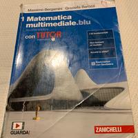 Matematica multimediale blu 1