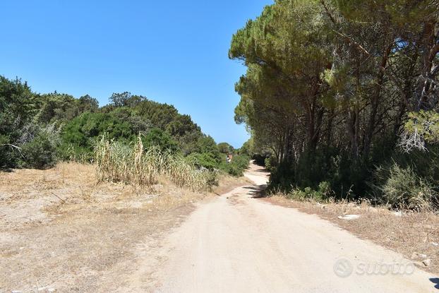 Terreno edificabile a Rena Majore