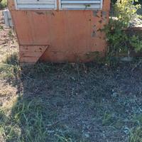 Generatore aria calda per serre