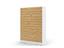 Immagine 11