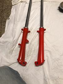 Ricambi trial 250 fantic