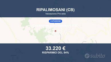Immobile in asta di 17835 m² a Ripalimosani