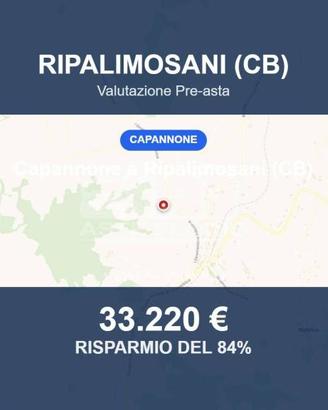 Immobile in asta di 17835 m² a Ripalimosani