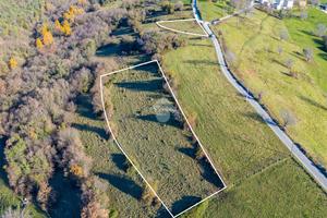 TER. AGRICOLO A SANT'ANNA D'ALFAEDO