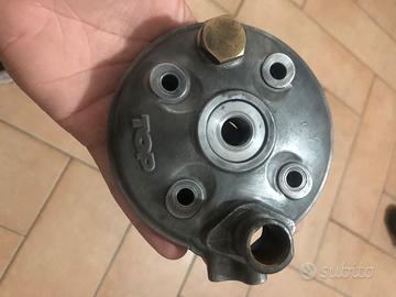 Testa top tpr/2plus