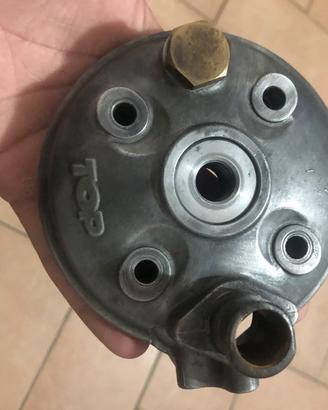 Testa top tpr/2plus
