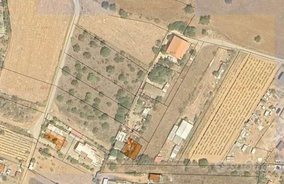 TERRENO AGRICOLO - Vista 5