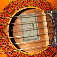Chitarra C-40 Yamaha