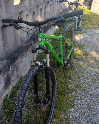 cannondale