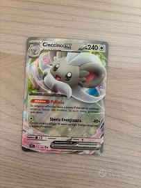 Cinccino ex