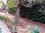 Immagine 11