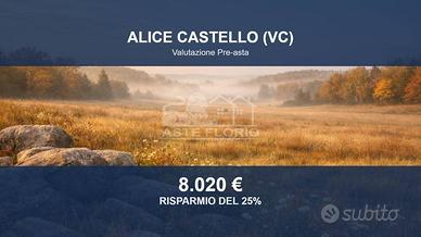 Immobile in asta di 7590 m² a Alice Castello