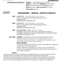 Magazziniere - operaio - addetto logistica