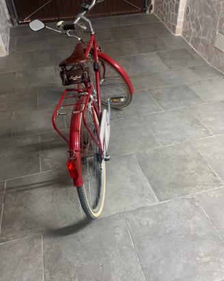Bicicletta maschile  alta