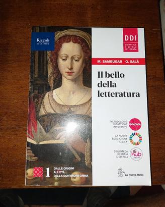 Il bello della letteratura 1