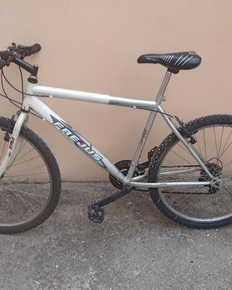 bicicletta 