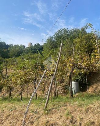 TER. AGRICOLO A CELLATICA