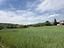 Immagine 18