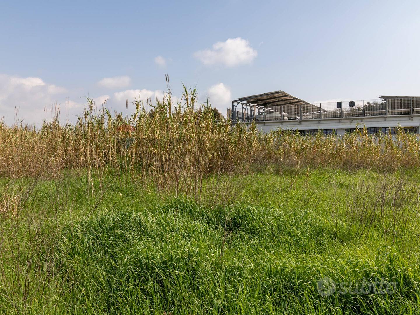 Terreno Edificabile - Ardea - Vista 5