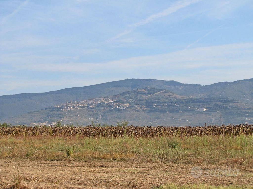Rustico / Casale di 1200 m² con box auto a Cortona - Vista 5