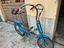 Immagine 1